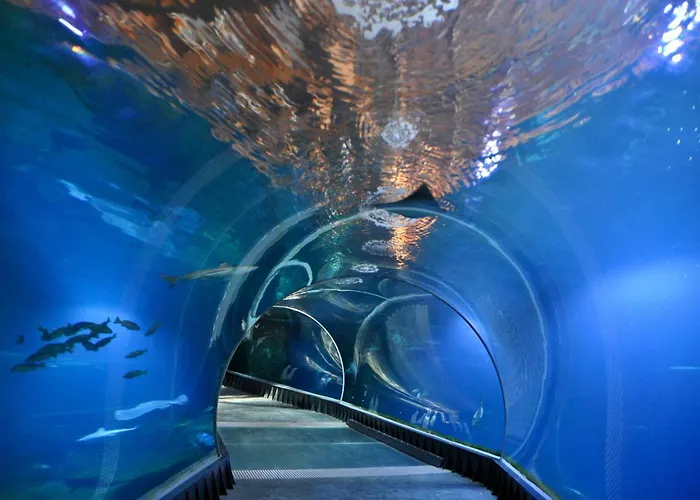 Appartement Soho - Old Town Wrocław