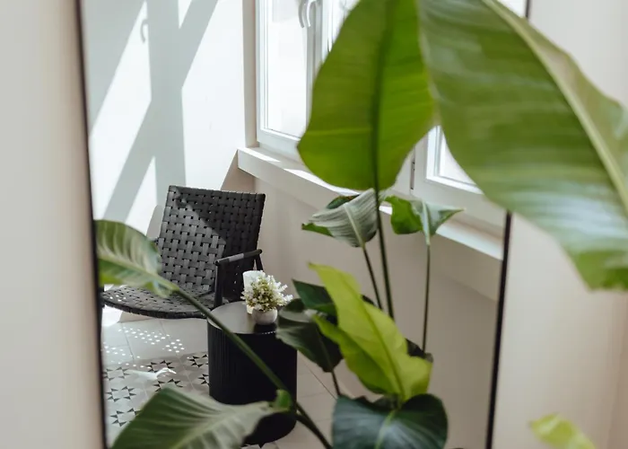 Soho - Old Town * Wrocław