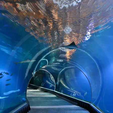 Appartement Soho - Old Town Wrocław