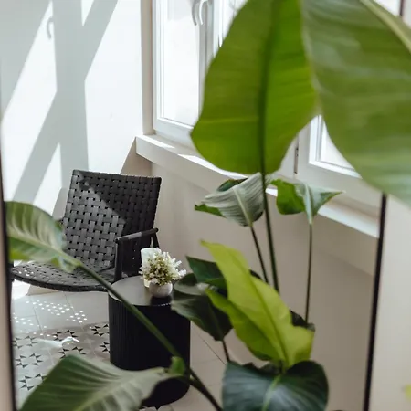 Soho - Old Town * ורוצלב